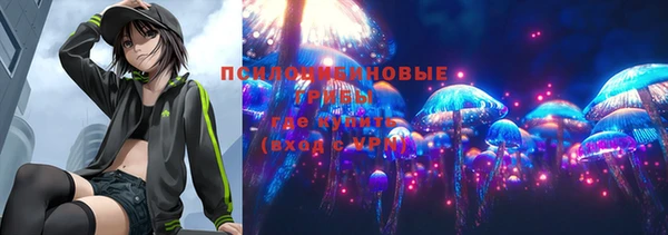 спиды Алзамай