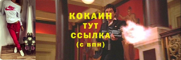 спиды Алзамай
