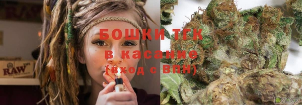 ГАЛЛЮЦИНОГЕННЫЕ ГРИБЫ Алексин