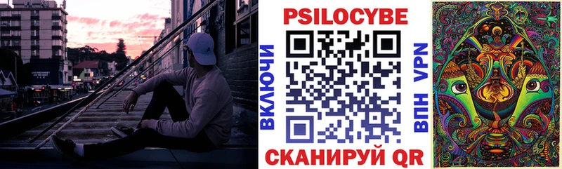 Псилоцибиновые грибы Cubensis  Бахчисарай 