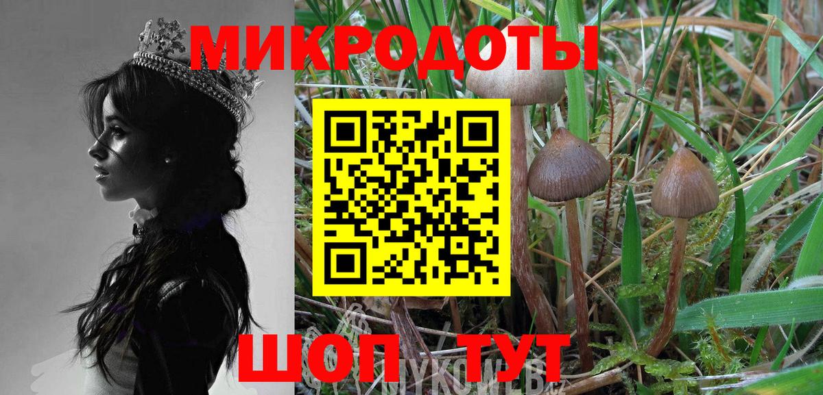 Бахчисарай  Псилоцибиновые грибы мухоморы  Псилоцибиновые грибы GOLDEN TEACHER  Вход с VPN 