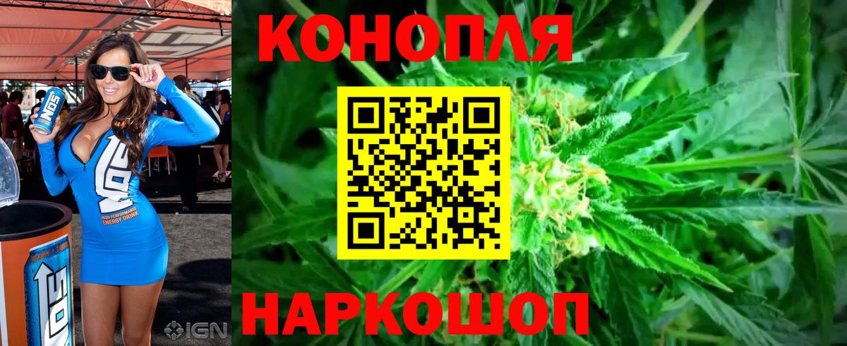 Бошки Шишки план  Конопля Bruce Banner  Вход с VPN  Конопля ГИДРОПОН  Бахчисарай 